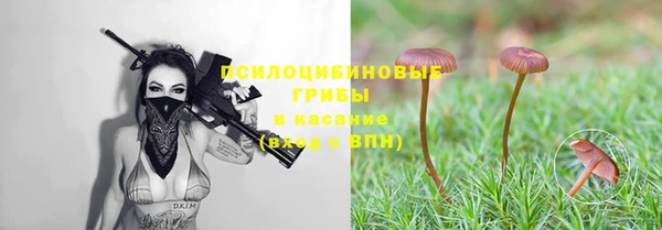 спиды Гусь-Хрустальный